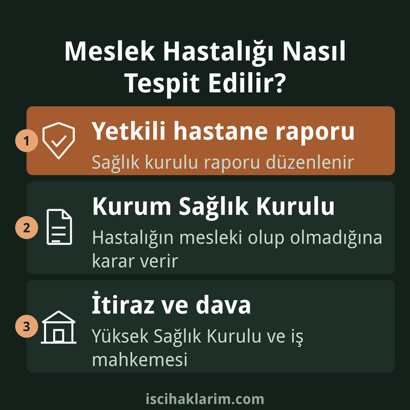 Meslek hastalığı nasıl tespit edilir infografiği