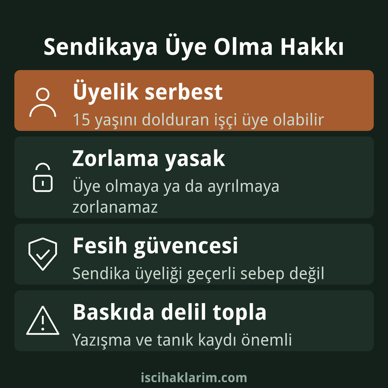 Sendikaya üye olma hakkı infografiği